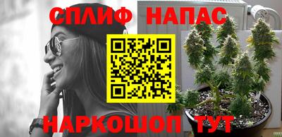 гидра Кулебаки