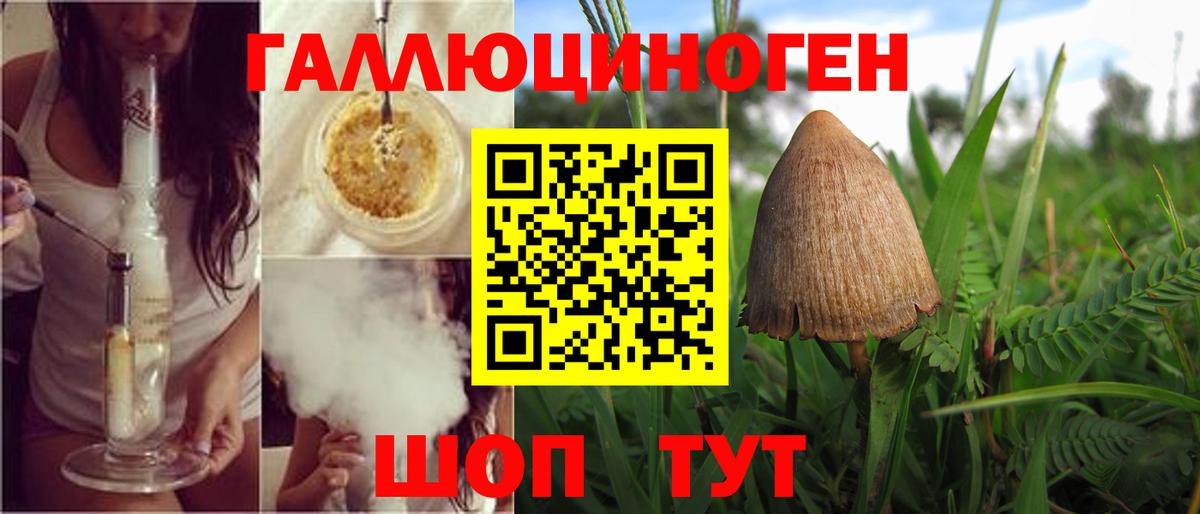 Дзержинский  Псилоцибиновые грибы Cubensis  как найти наркотики  Вход с VPN 