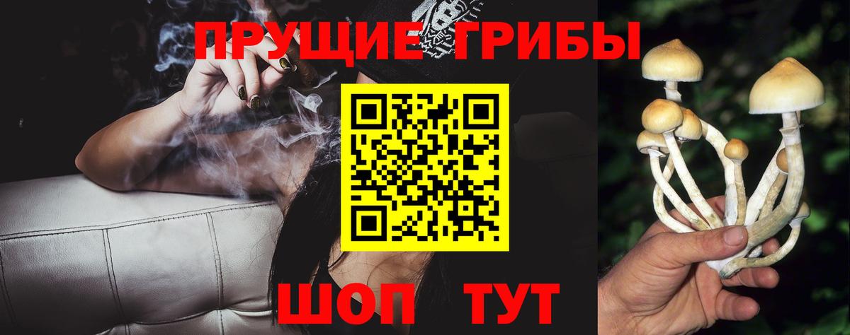 Псилоцибиновые грибы мицелий Дзержинский